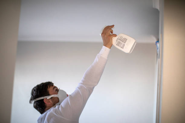 Best Basement Mold Remediation in Kountze, TX
