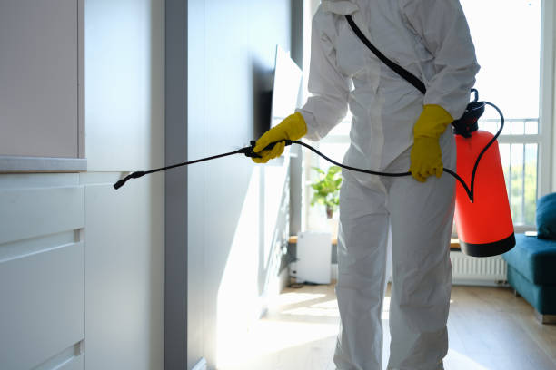 Best DIY Mold Remediation Support Services in Kountze, TX
